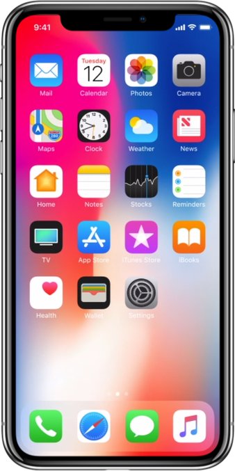 Apple iPhone X